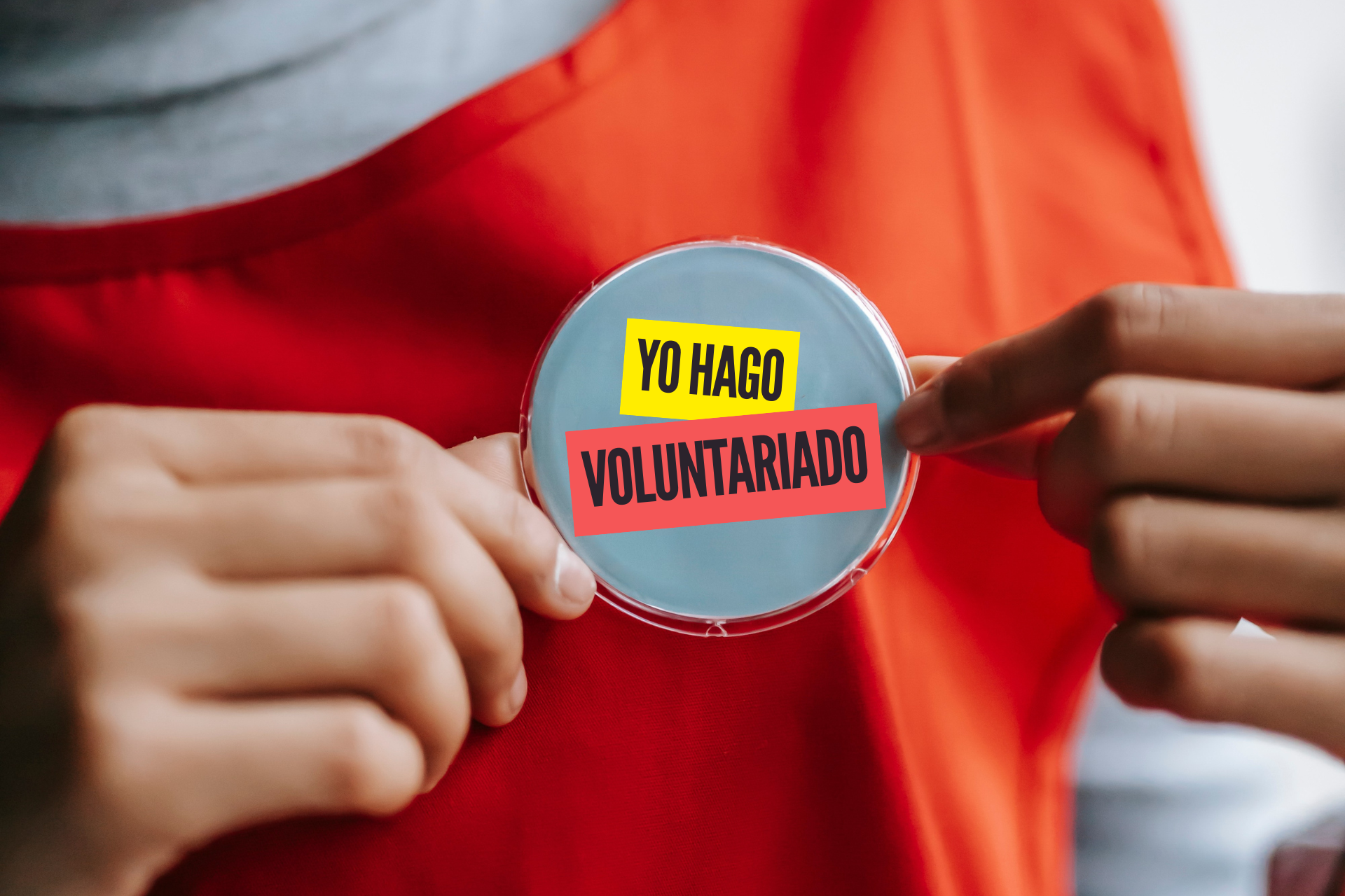 Quieres hacer voluntariado en València ¿Por dónde empiezas?
