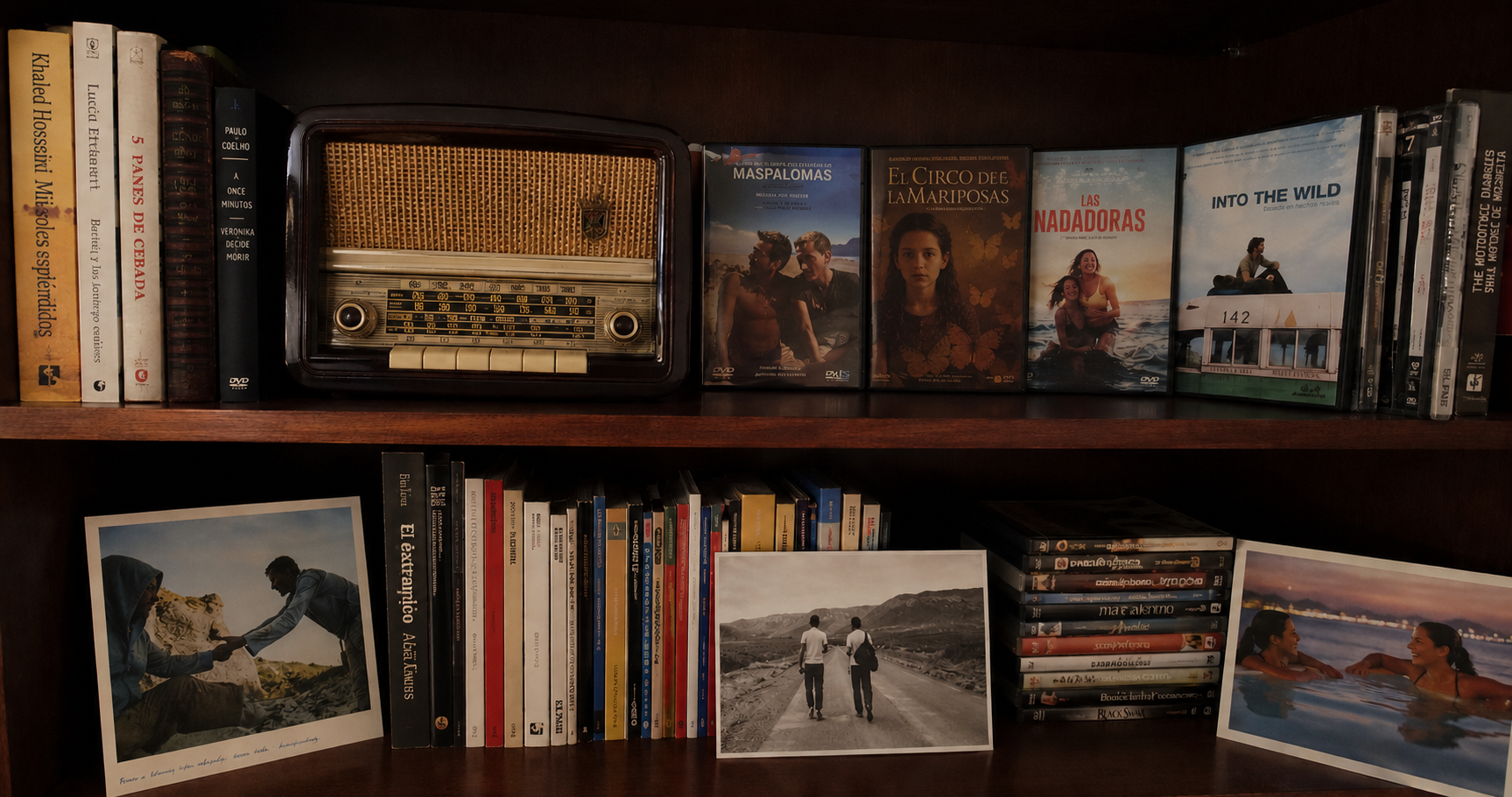 Estantería con libros y películas relacionadas con el voluntariado y la solidaridad